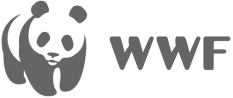 Deezer logotipo